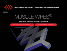 Tablet Screenshot of musclewires.com